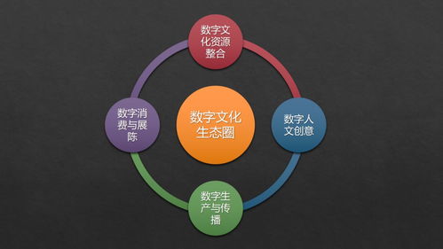 張曉明 跨越新文創時代專業鴻溝，構建數字文化生態圈